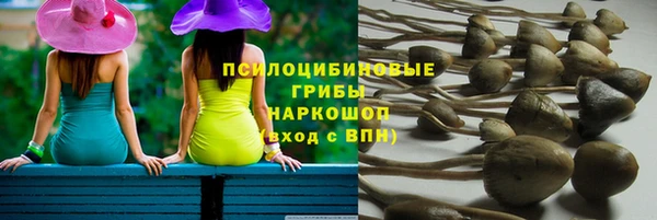 ешки Нефтегорск