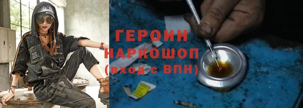 индика Новозыбков
