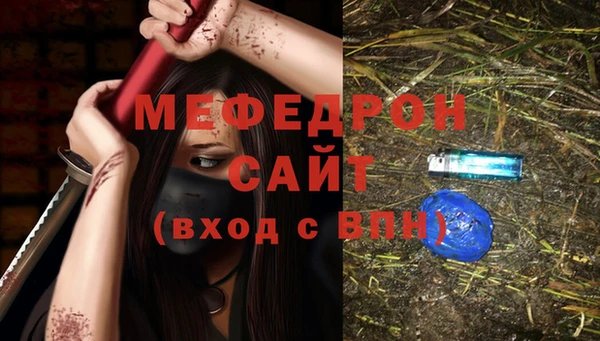 индика Новозыбков