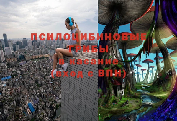 ешки Нефтегорск