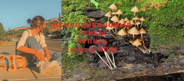 apvp Новокубанск