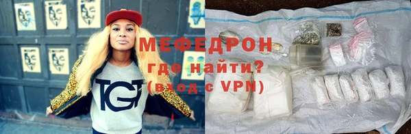 индика Новозыбков