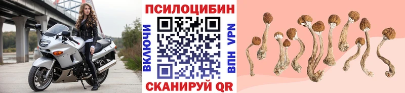 Псилоцибиновые грибы Psilocybine cubensis  Купить где  Кораблино 